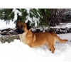 Userbild von Steffi1004