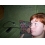 Userbild von mandarine_girl