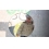 Userbild von Wanji