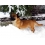 Userbild von Steffi1004