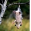 Userbild von powder-tom