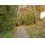 Userbild von evephoenix