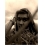 Userbild von laurapatzer