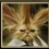 Userbild von ka309
