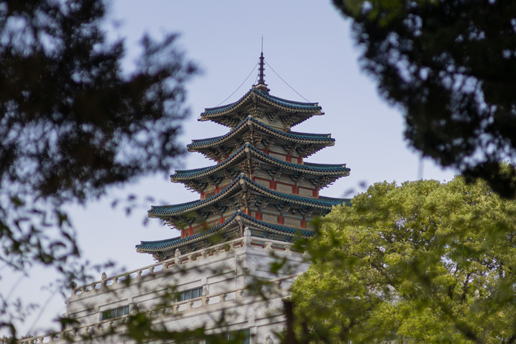 Voraussetzungen fürs studieren an südkoreanischer Universität