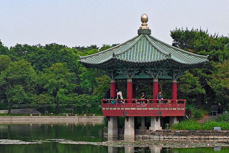 Finanzierung deines Studiums in Südkorea
