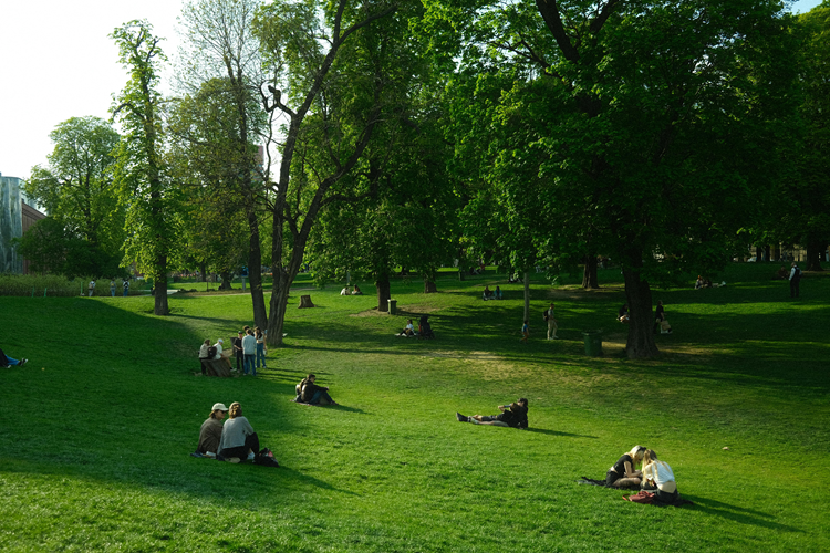 nicht ins Sommerloch fallen