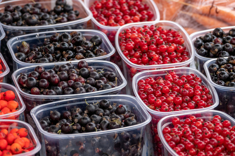 In Klausuren Essen und Trinken Beeren