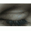 Userbild von StefanieNeh