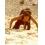 Userbild von Huschi