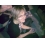Userbild von gwen