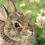 Userbild von Utari