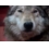 Userbild von Mattyrechtler