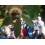 Userbild von CalimeroSkimütze