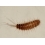 Userbild von Stevia Stone