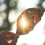 Userbild von verknotet