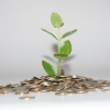 Grüne Geldanlagen: 4 Wege, um nachhaltig zu investieren