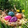 Ostern oder die Frage nach den bunten Eiern